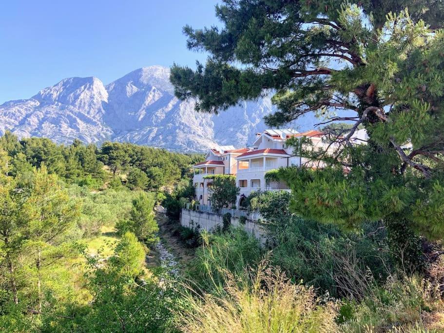 Villa Mara 普罗马尼亚 外观 照片